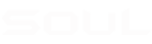 SOUL-真無線藍牙耳機